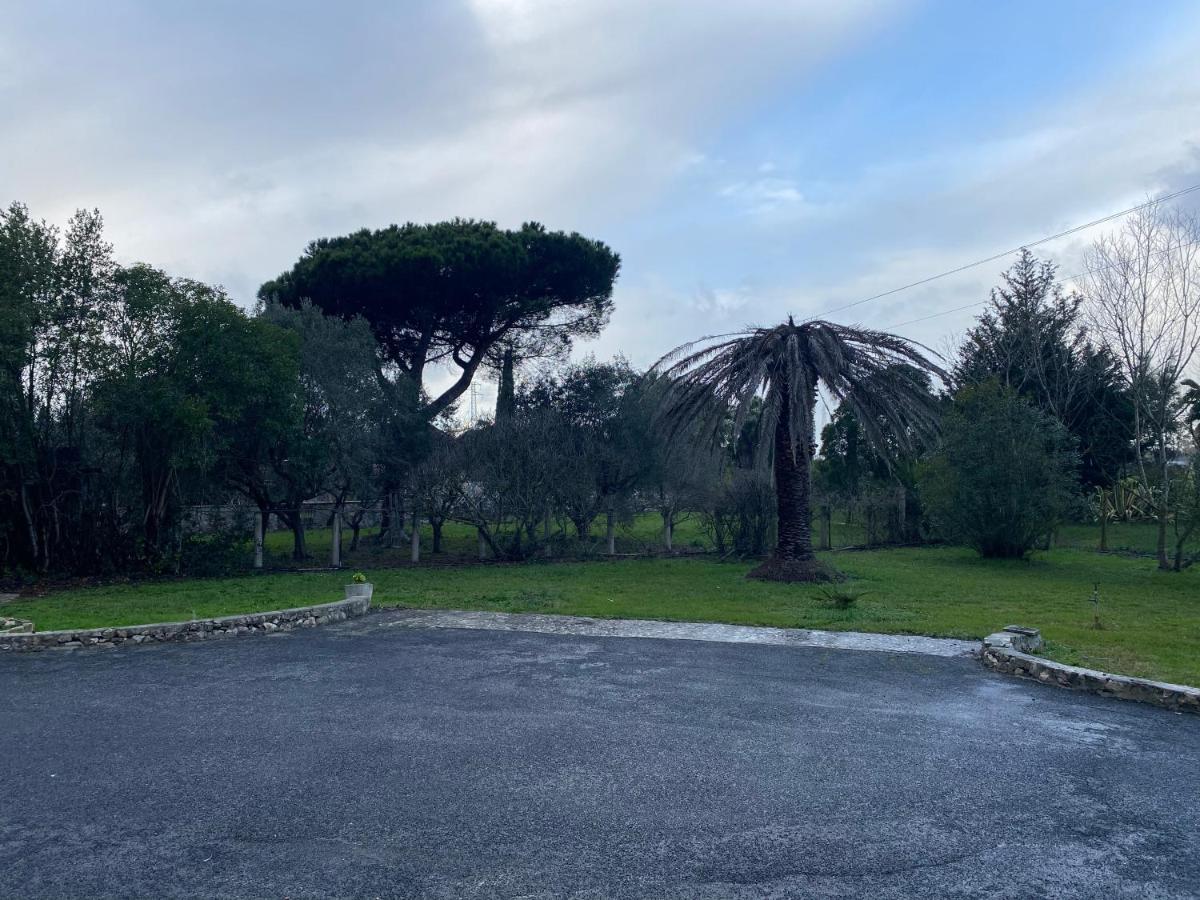 American Motel Cisterna di Latina Bagian luar foto